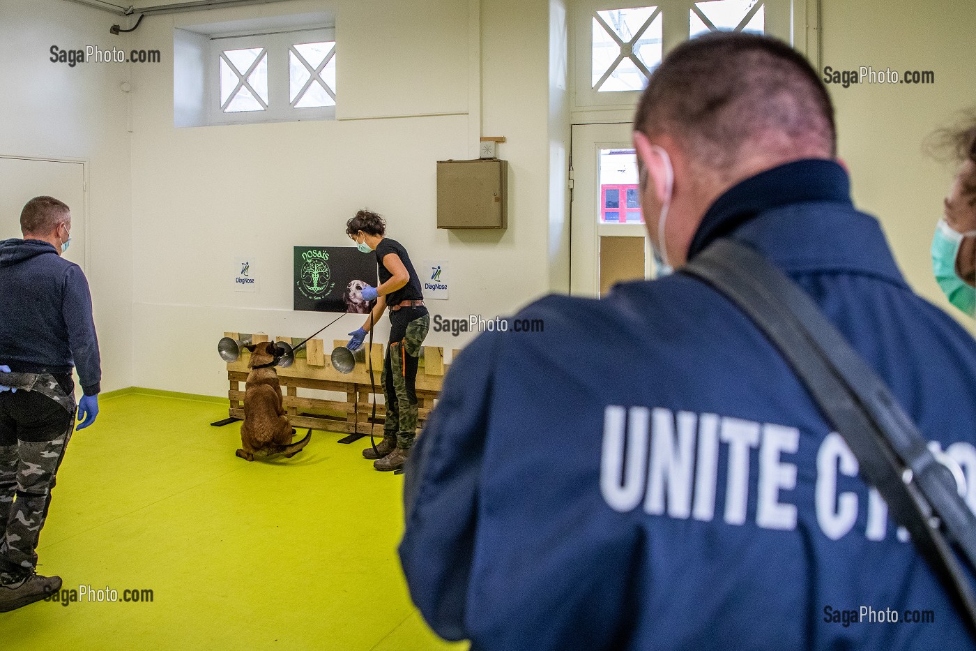 EXPERIMENTATION SUR LA DETECTION DU COVID 19 PAR DES CHIENS SAPEURS POMPIERS  ECOLE VETERINAIRE, MAISONS-ALFORT, VAL DE MARNE, ILE DE FRANCE, FRANCE, EUROPE 