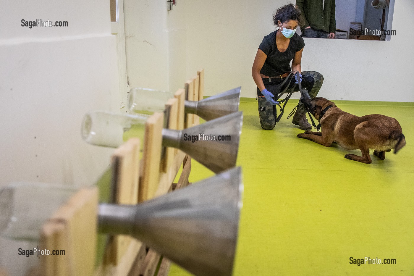 EXPERIMENTATION SUR LA DETECTION DU COVID 19 PAR DES CHIENS SAPEURS POMPIERS  ECOLE VETERINAIRE, MAISONS-ALFORT, VAL DE MARNE, ILE DE FRANCE, FRANCE, EUROPE 