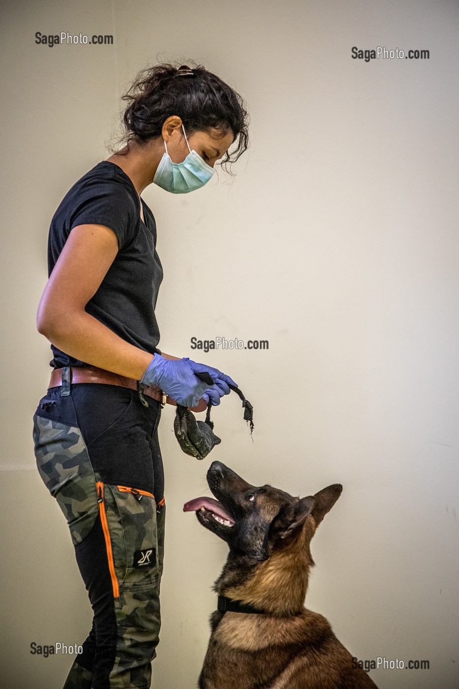 EXPERIMENTATION SUR LA DETECTION DU COVID 19 PAR DES CHIENS SAPEURS POMPIERS  ECOLE VETERINAIRE, MAISONS-ALFORT, VAL DE MARNE, ILE DE FRANCE, FRANCE, EUROPE 