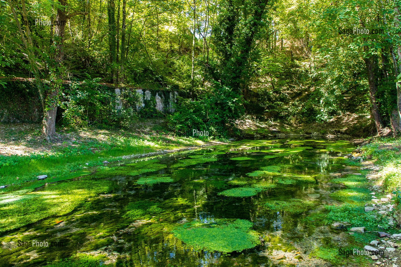 SOURCE, SITE ARCHEOLOGIQUE D’ESCOLIVES SAINTE CAMILLE, YONNE, BOURGOGNE, FRANCE 