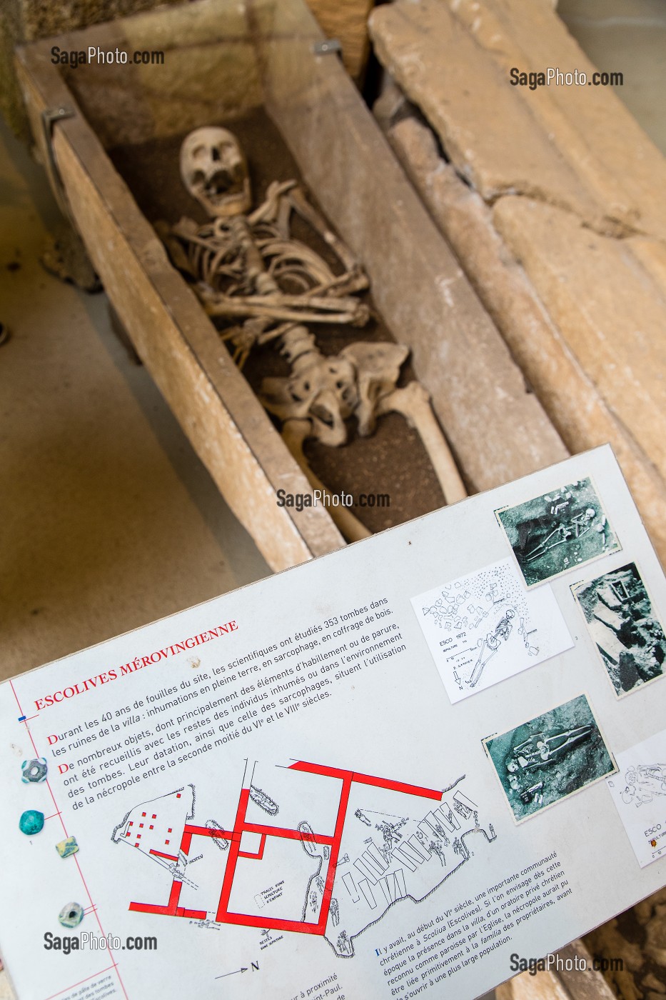 SARCOPHAGES MEROVINGIENS, SITE ARCHEOLOGIQUE D’ESCOLIVES SAINTE CAMILLE, YONNE, BOURGOGNE, FRANCE 