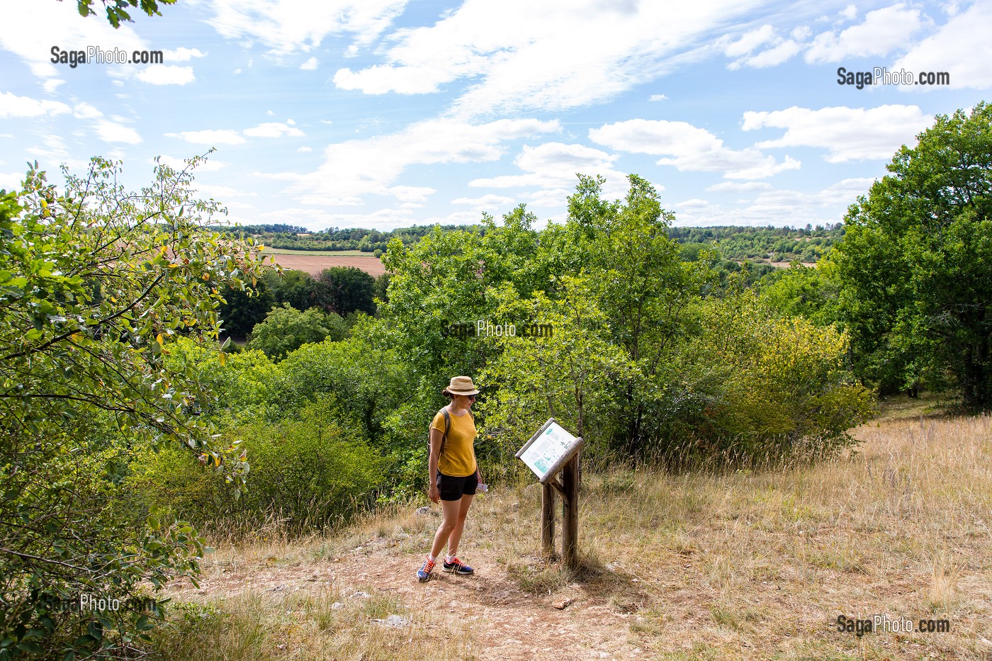 SENTIER DE DECOUVERTE DE FOSSILES DE CORAUX DE PRES DE 150 000 D’ANNEES FIGES DANS LA PIERRE, RESERVE NATURELLE DU BOIS DU PARC, ZONE NATURA 2000, MERRY SUR YONNE, YONNE, BOURGOGNE, FRANCE 