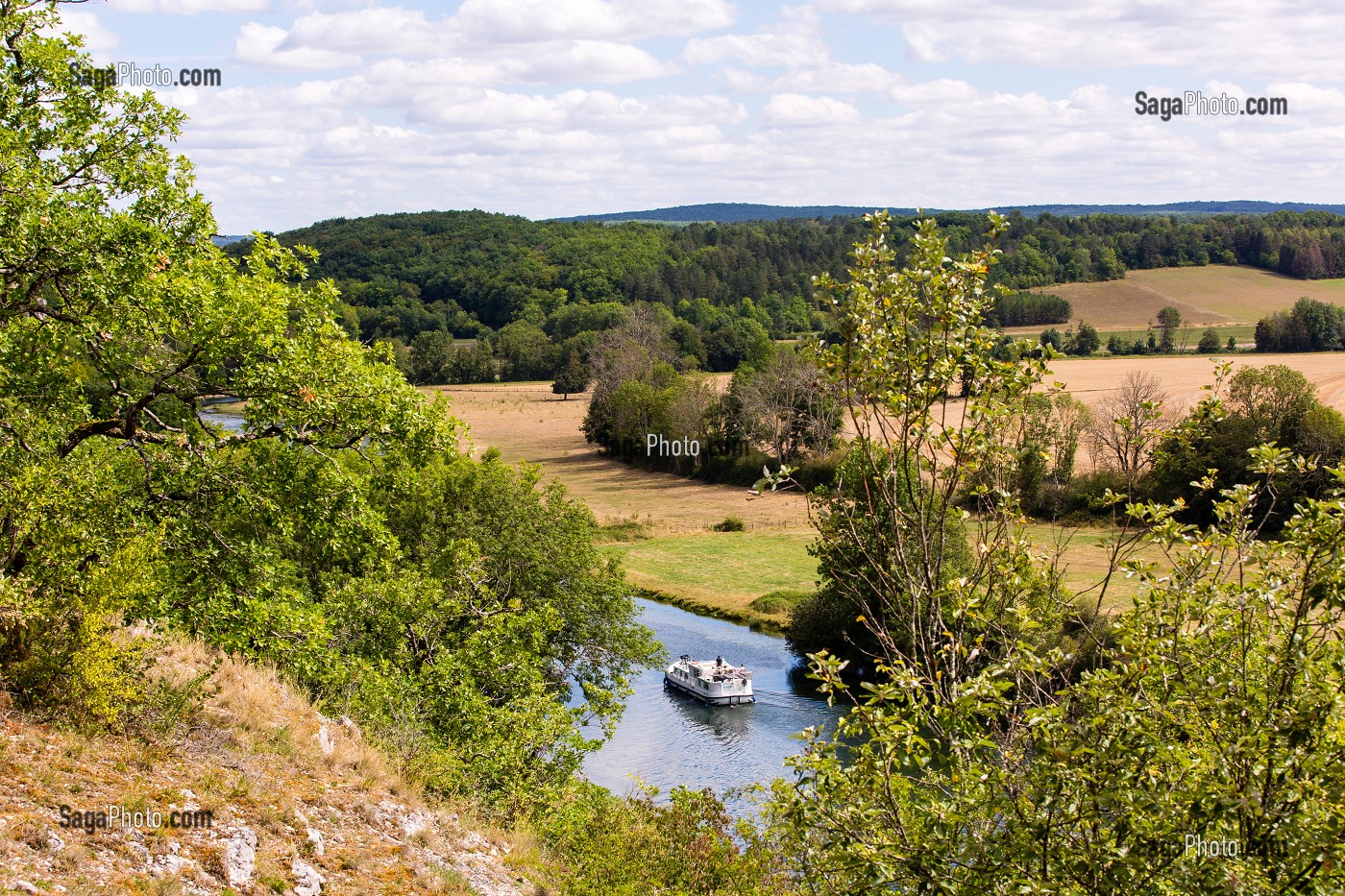 SENTIER DE DECOUVERTE DE FOSSILES DE CORAUX DE PRES DE 150 000 D’ANNEES FIGES DANS LA PIERRE, RESERVE NATURELLE DU BOIS DU PARC, ZONE NATURA 2000, MERRY SUR YONNE, YONNE, BOURGOGNE, FRANCE 