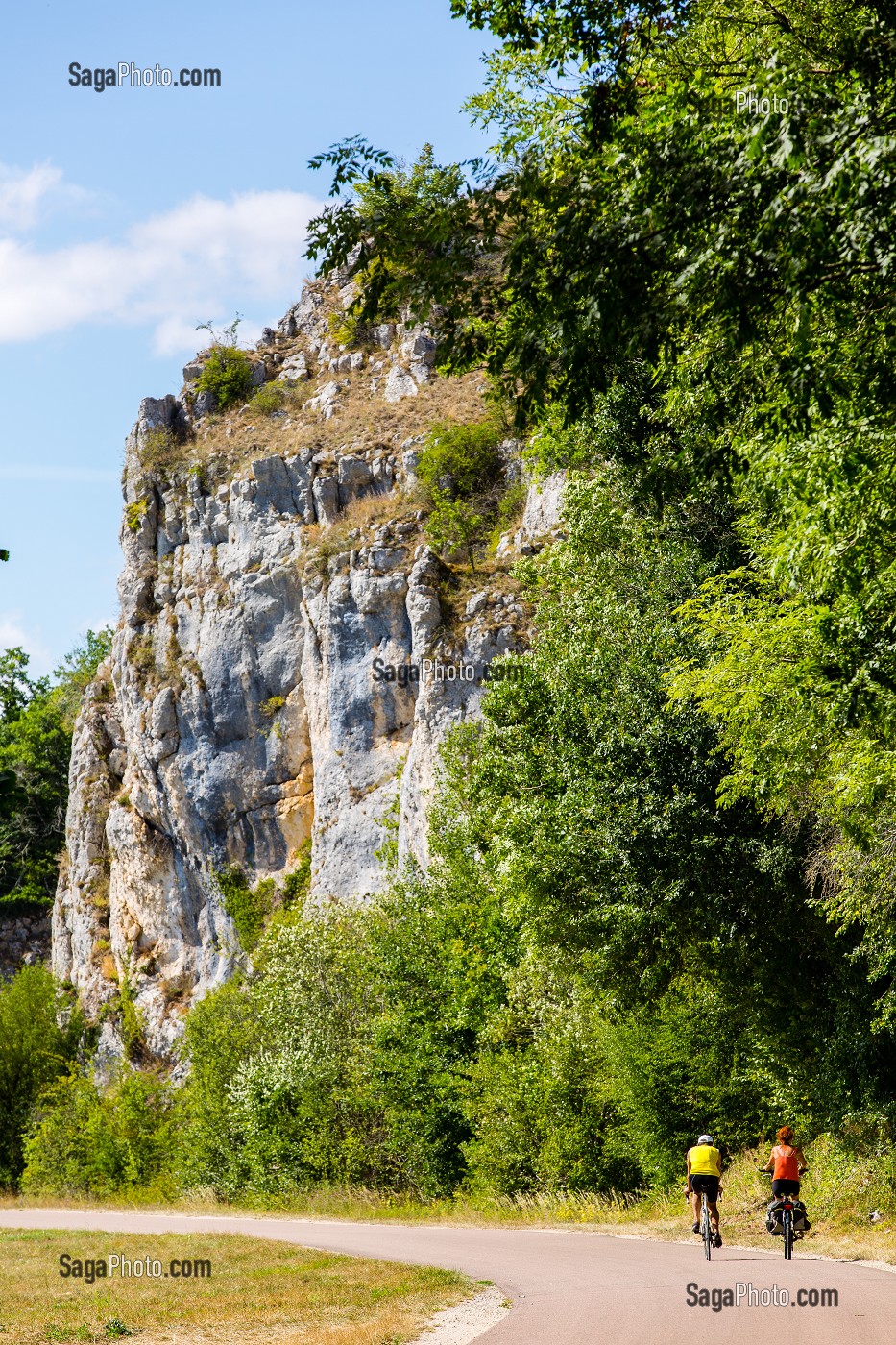 SENTIER DE DECOUVERTE DE FOSSILES DE CORAUX DE PRES DE 150 000 D’ANNEES FIGES DANS LA PIERRE, RESERVE NATURELLE DU BOIS DU PARC, ZONE NATURA 2000, MERRY SUR YONNE, YONNE, BOURGOGNE, FRANCE 