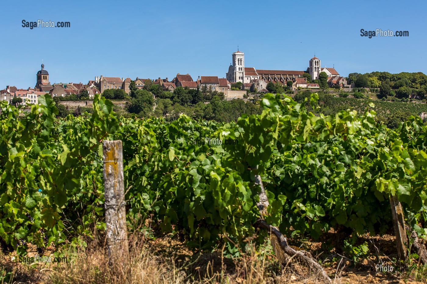 VILLAGE ET COLLINE ETERNELLE DE VEZELAY, VEZELAY, YONNE, BOURGOGNE, FRANCE 