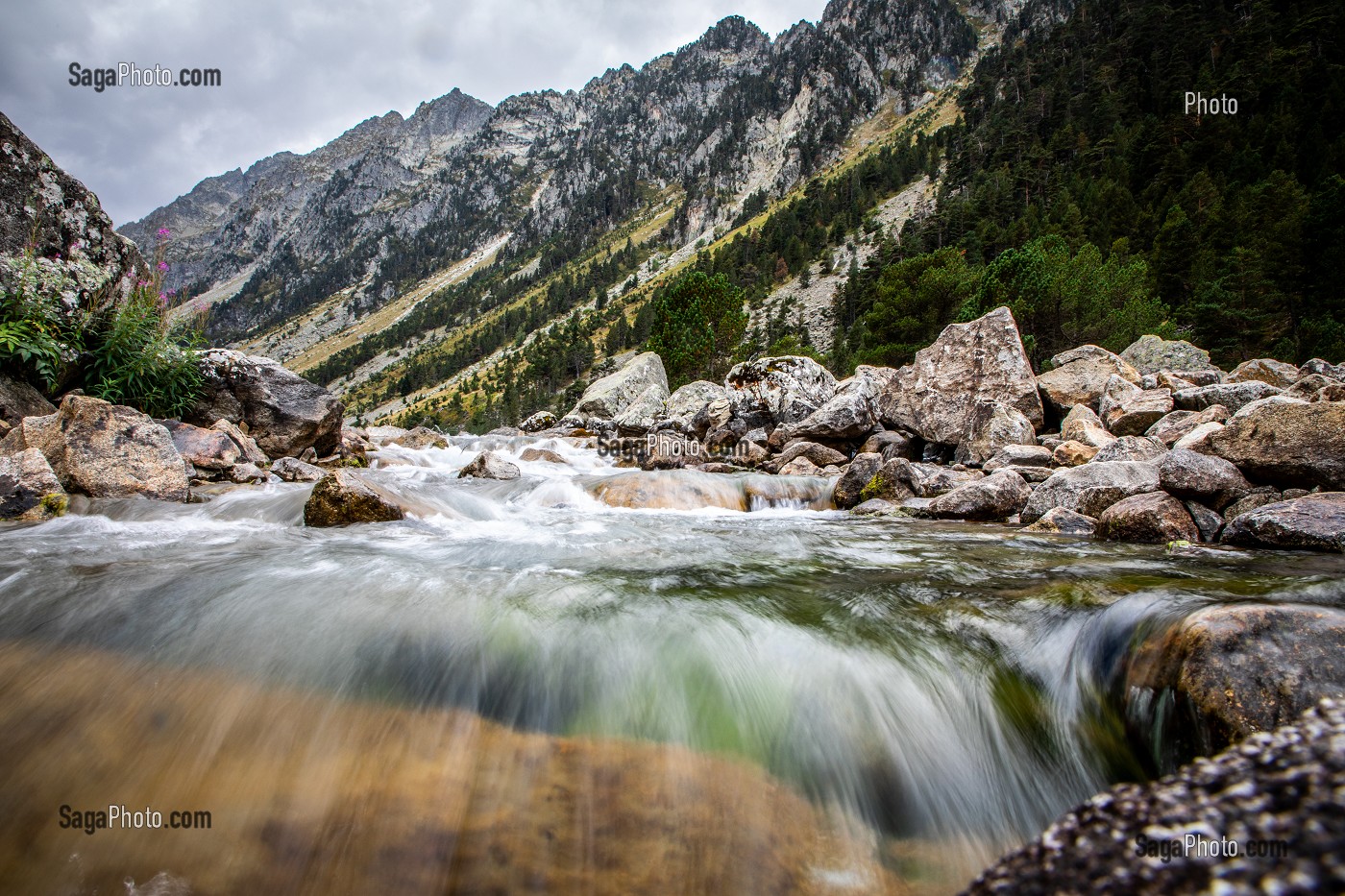 LAC DE GAUBE, CAUTERETS, HAUTES PYRENEES, MIDI PYRENEES, OCCITANIE, FRANCE 