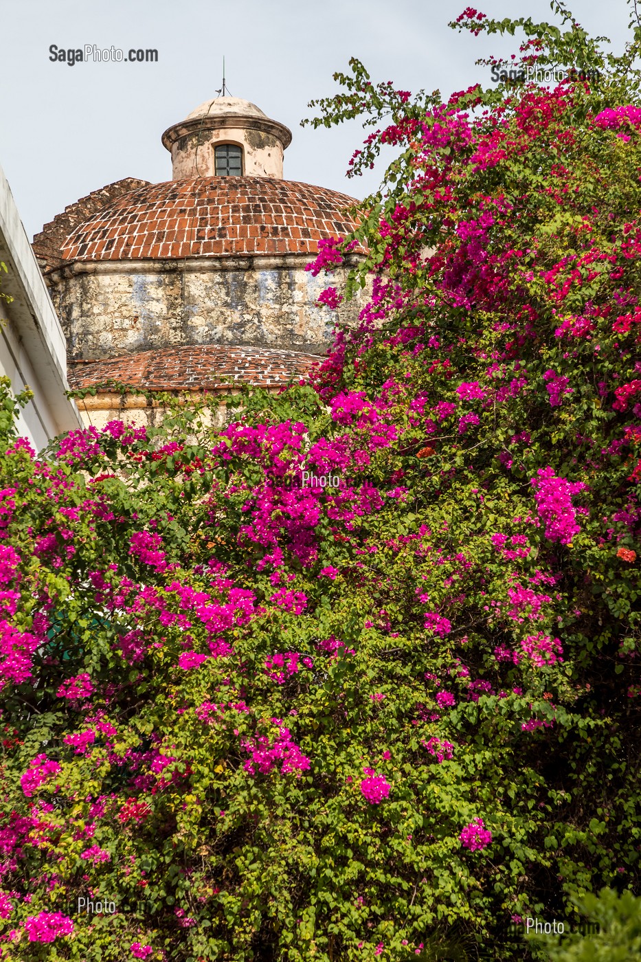 BOUGAINVILLIERS ET DOME, QUARTIER COLONIAL, CLASSE AU PATRIMOINE MONDIAL DE L'UNESCO, SAINT DOMINGUE, SANTO DOMINGO, REPUBLIQUE DOMINICAINE 