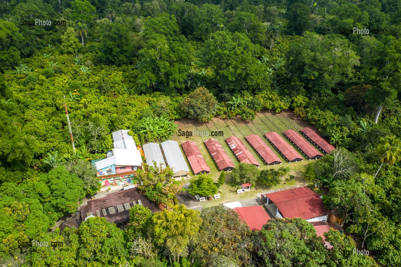 PLANTATION EL SENDERO DEL CACAO, HACIENDA LA ESMERALDA LAS PAJAS, SAN FRANCISCO DE MACORIS, REPUBLIQUE DOMINICAINE 