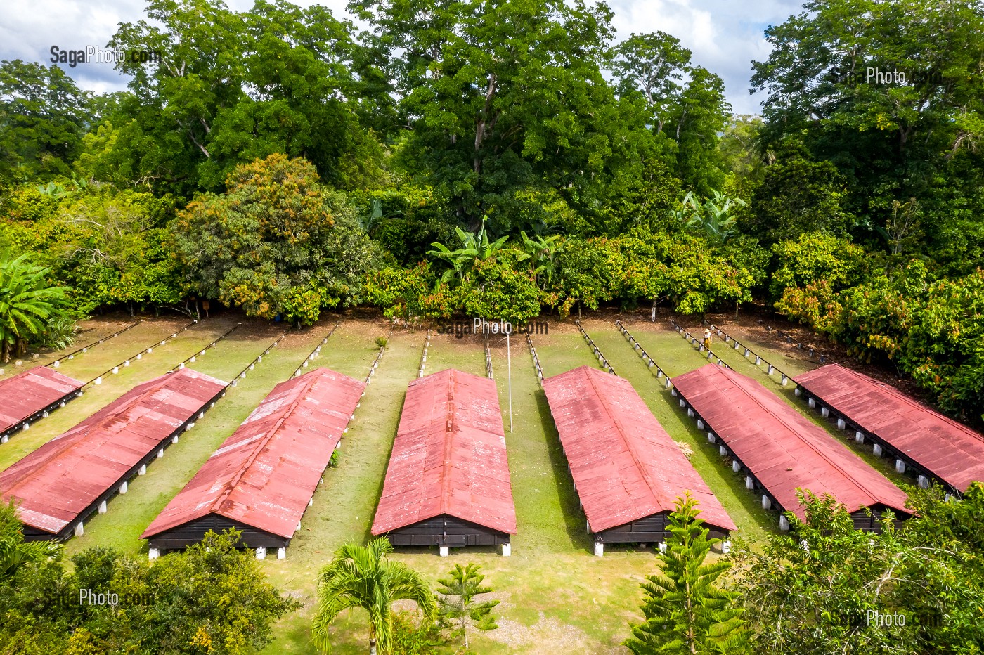 SECHOIRS DE CACAO, PLANTATION DE CACAO EL SENDERO DEL CACAO, HACIENDA LA ESMERALDA LAS PAJAS, SAN FRANCISCO DE MACORIS, REPUBLIQUE DOMINICAINE 