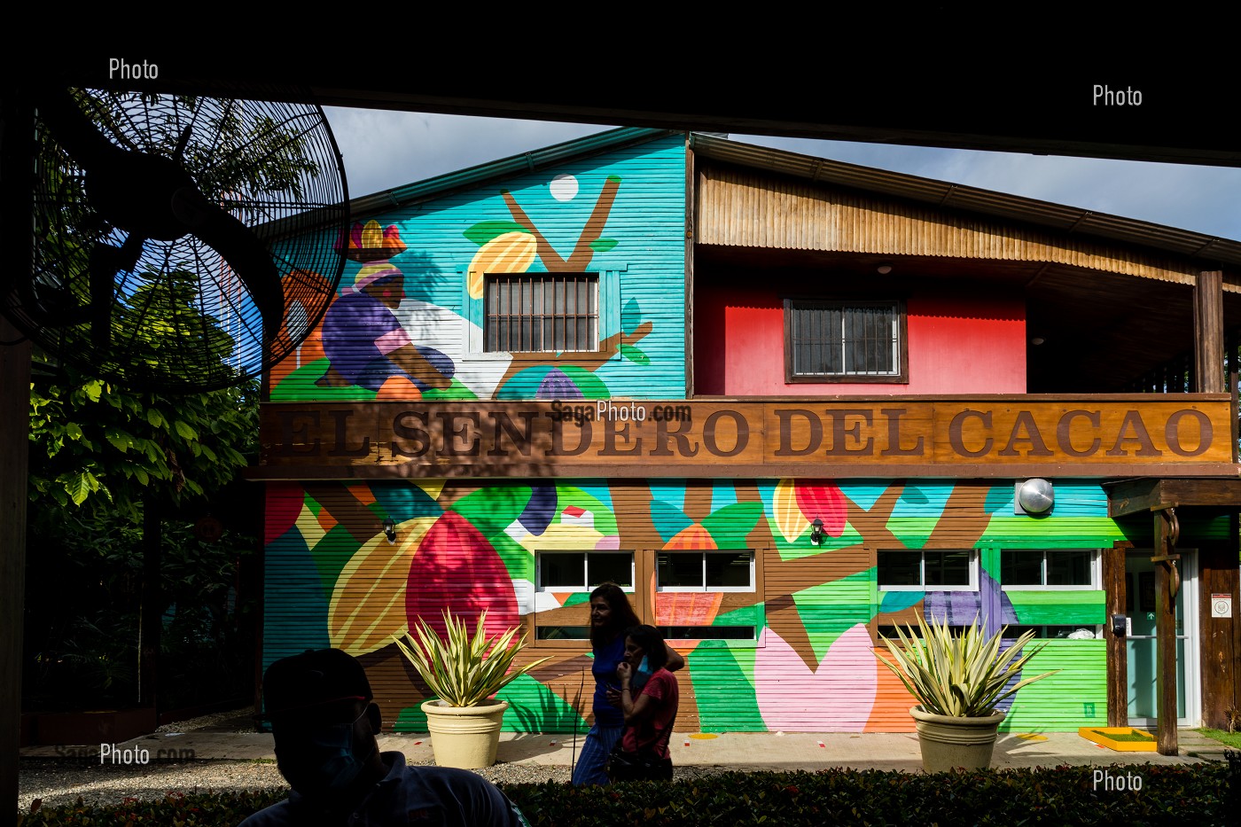 PLANTATION DE CACAO, EL SENDERO DEL CACAO, HACIENDA LA ESMERALDA LAS PAJAS, SAN FRANCISCO DE MACORIS, REPUBLIQUE DOMINICAINE 