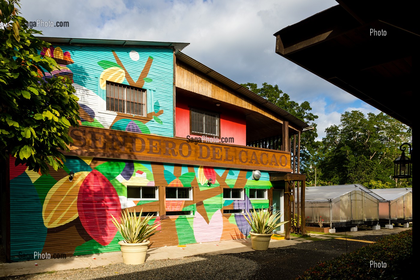 PLANTATION DE CACAO, EL SENDERO DEL CACAO, HACIENDA LA ESMERALDA LAS PAJAS, SAN FRANCISCO DE MACORIS, REPUBLIQUE DOMINICAINE 