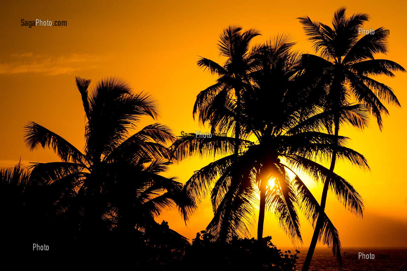 LEVER DE SOLEIL SUR LE MALECON DE SAINT DOMINGUE, SANTO DOMINGO, REPUBLIQUE DOMINICAINE 