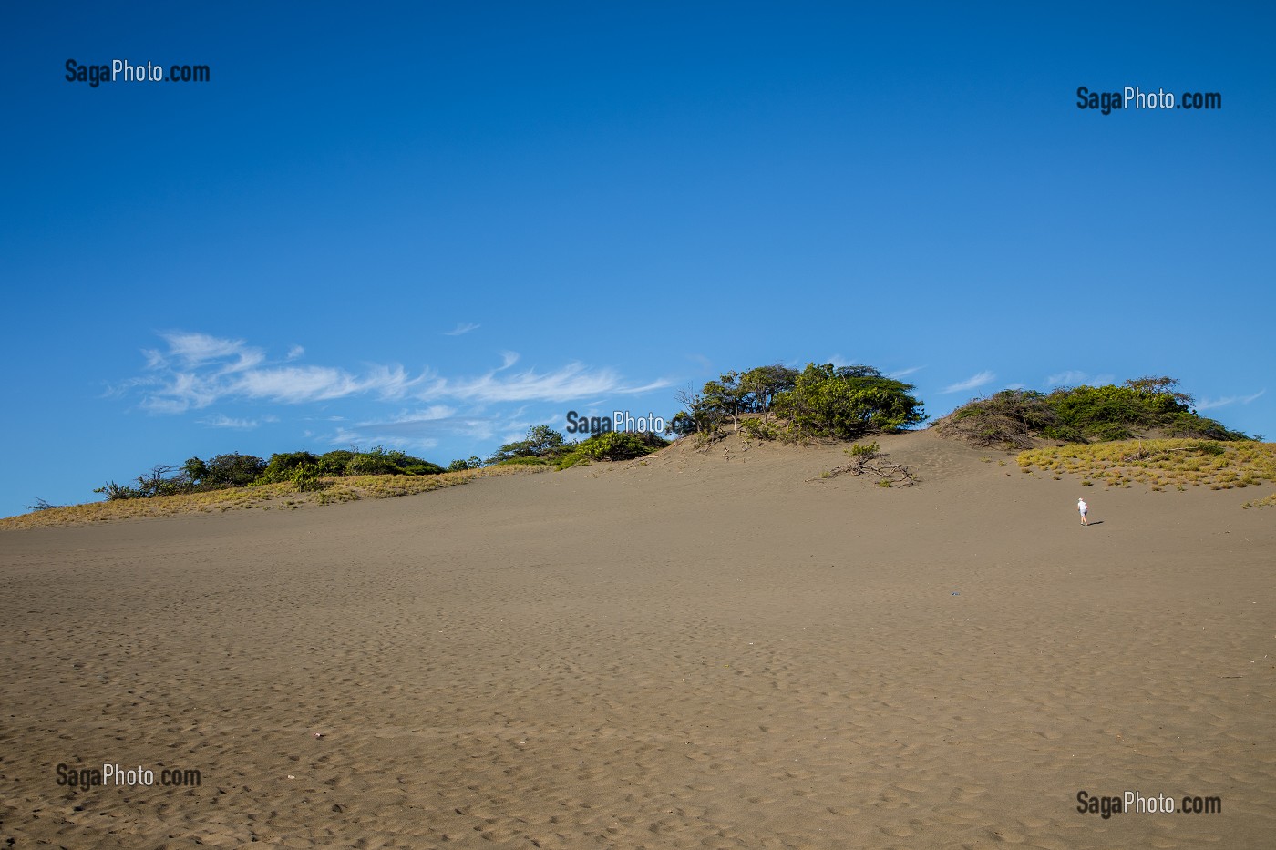 DUNES DE BANI, DUNAS DE BANI, PENINSULE DE LAS CALDERAS, REPUBLIQUE DOMINICAINE 