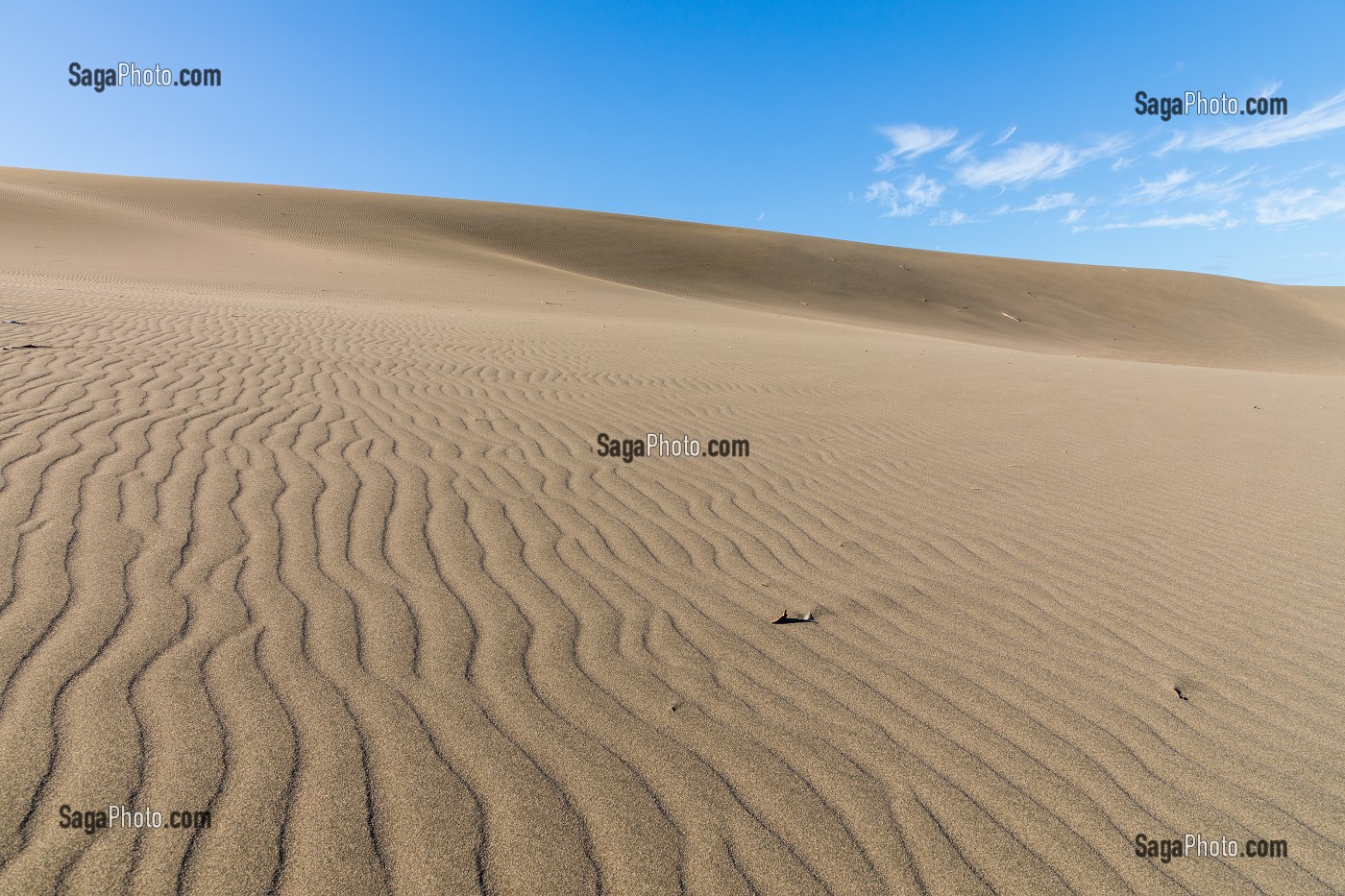 DUNES DE BANI, DUNAS DE BANI, PENINSULE DE LAS CALDERAS, REPUBLIQUE DOMINICAINE 