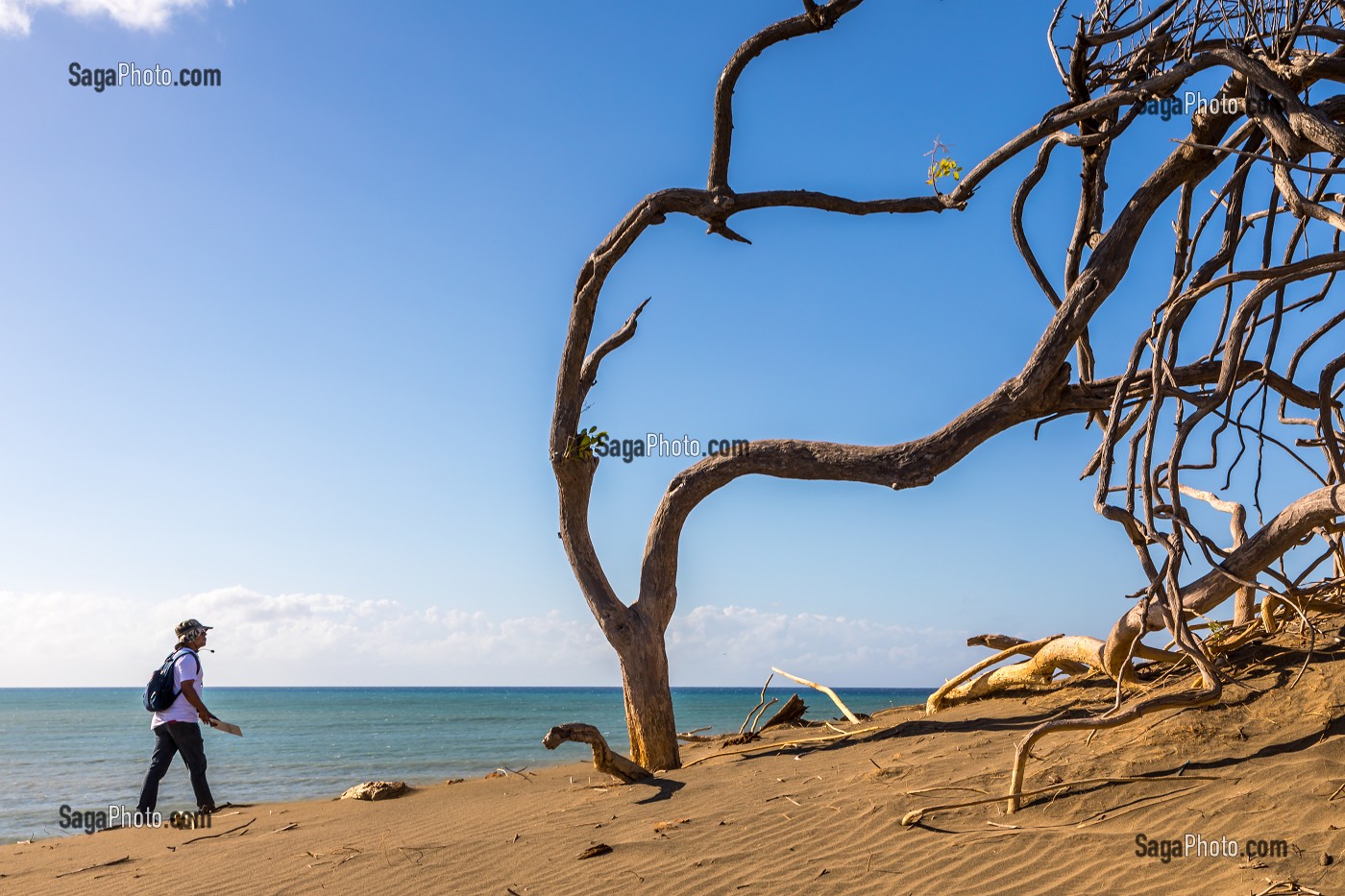 DUNES DE BANI, DUNAS DE BANI, PENINSULE DE LAS CALDERAS, REPUBLIQUE DOMINICAINE 