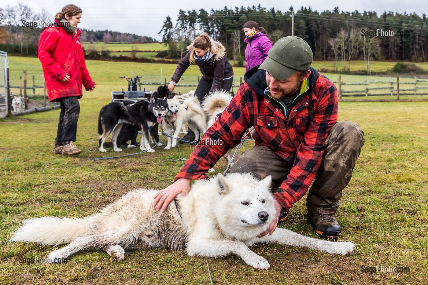 REMI AVICE, MUSHER DE CHIENS DE TRAINEAU, TAÏGA AVENTURE, LE REDONDET, CISTERNES LA FORET, (63) PUY DE DOME, AUVERGNE 