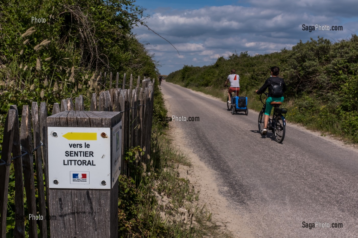 ILLUSTRATION SENTIER DU LITTORAL, ROUTE BLANCHE, CAYEUX SUR MER, SOMME, PICARDIE, HAUT DE FRANCE, FRANCE, EUROPE 