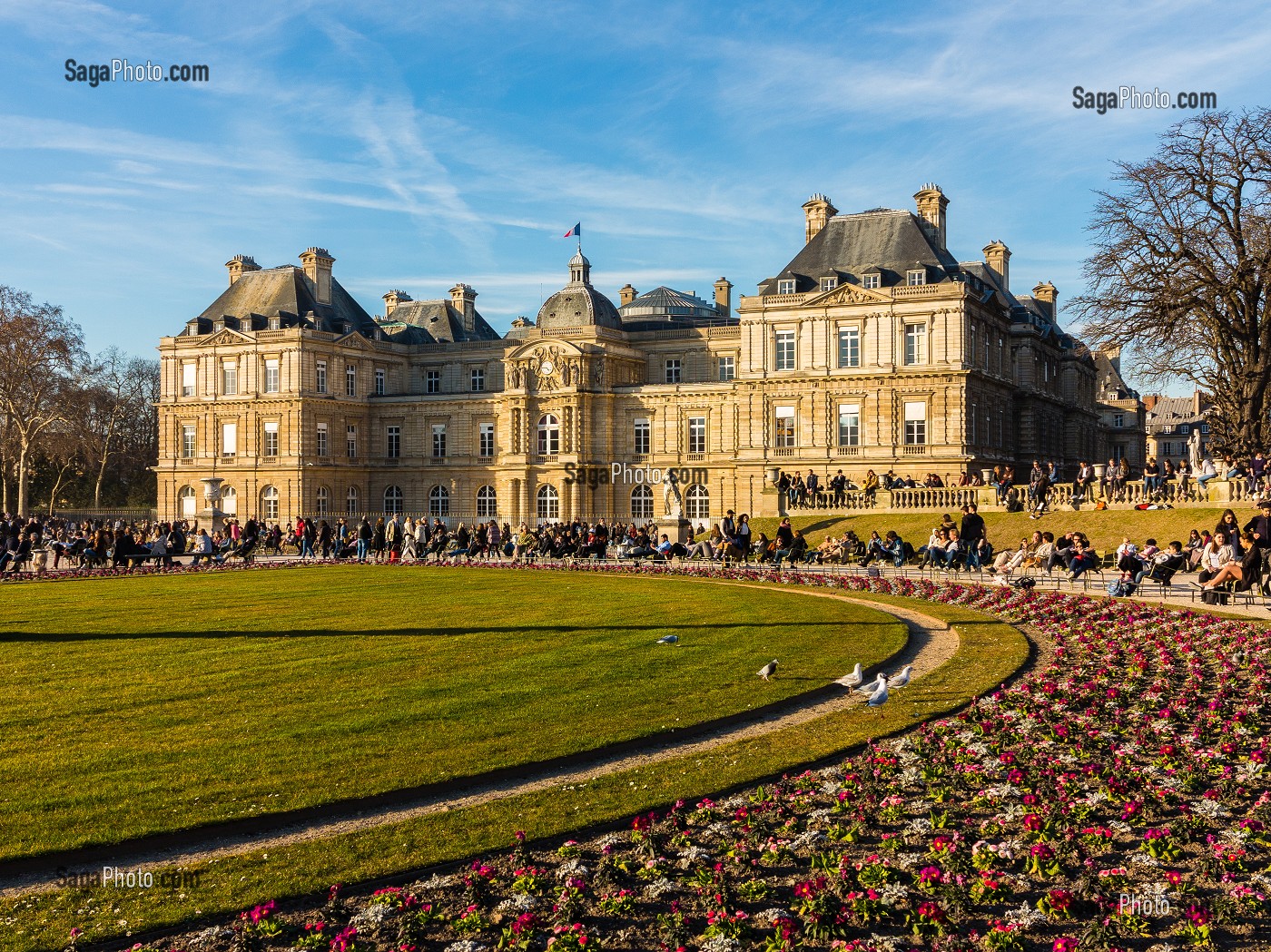 JARDIN ET PALAIS DU LUXEMBOURG, SENAT, 6EME ARRONDISSEMENT, (75) PARIS, FRANCE, EUROPE 
