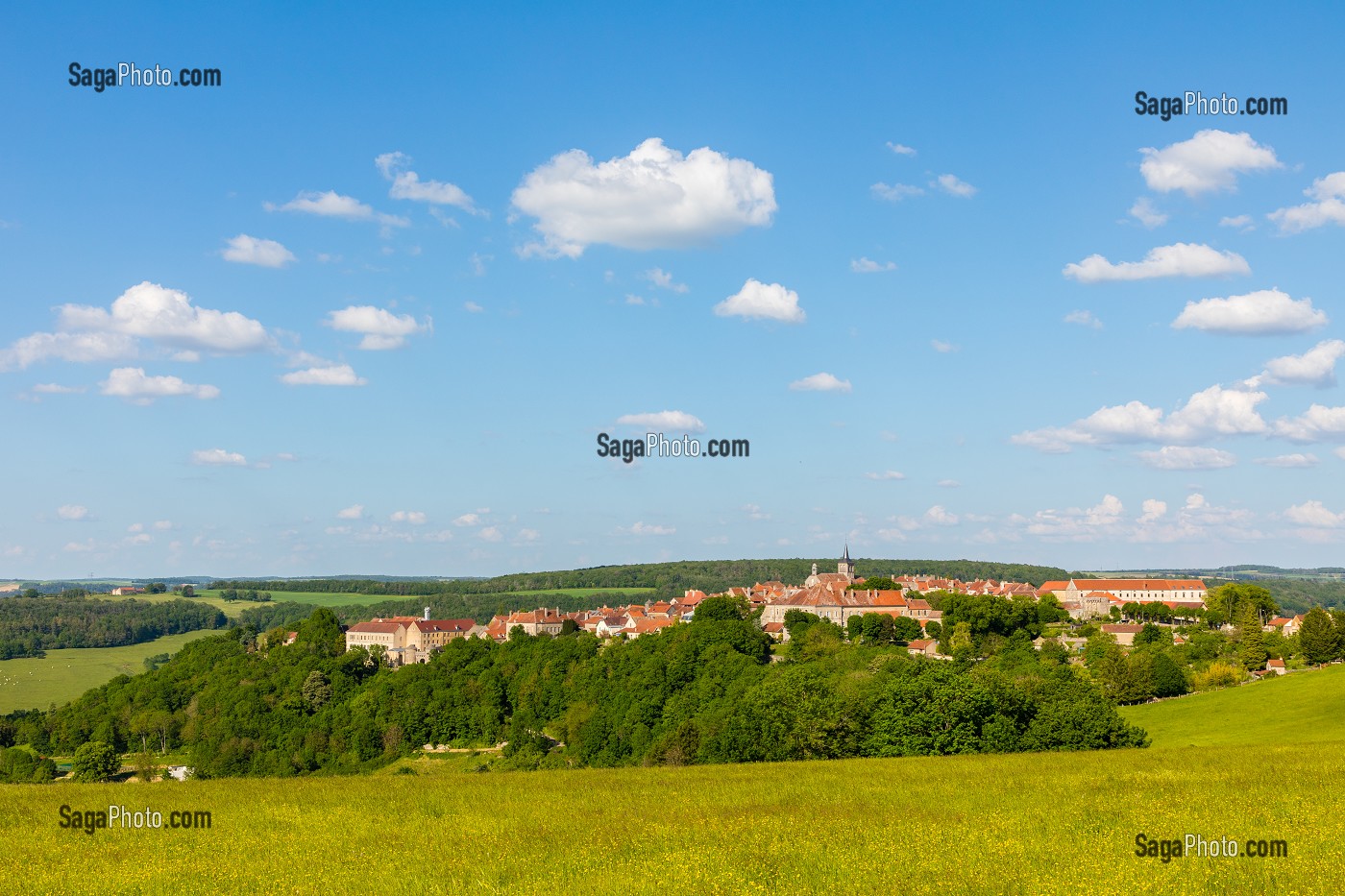 FLAVIGNY SUR OZERAIN, (21) COTE-D'OR, BOURGOGNE, FRANCE 