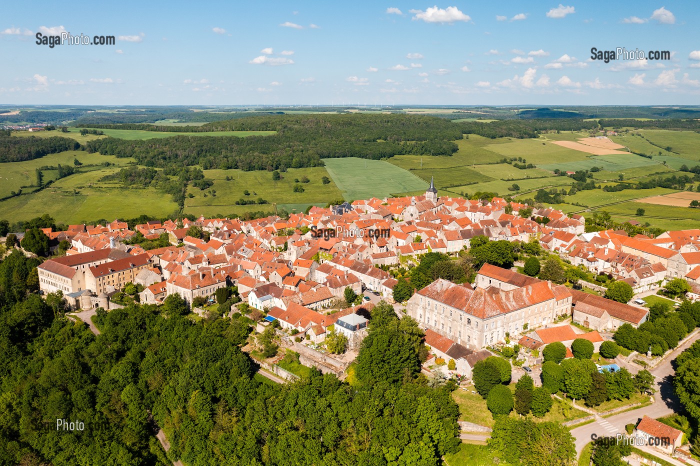 VUE AERIENNE DRONE, FLAVIGNY SUR OZERAIN, (21) COTE-D'OR, BOURGOGNE, FRANCE 