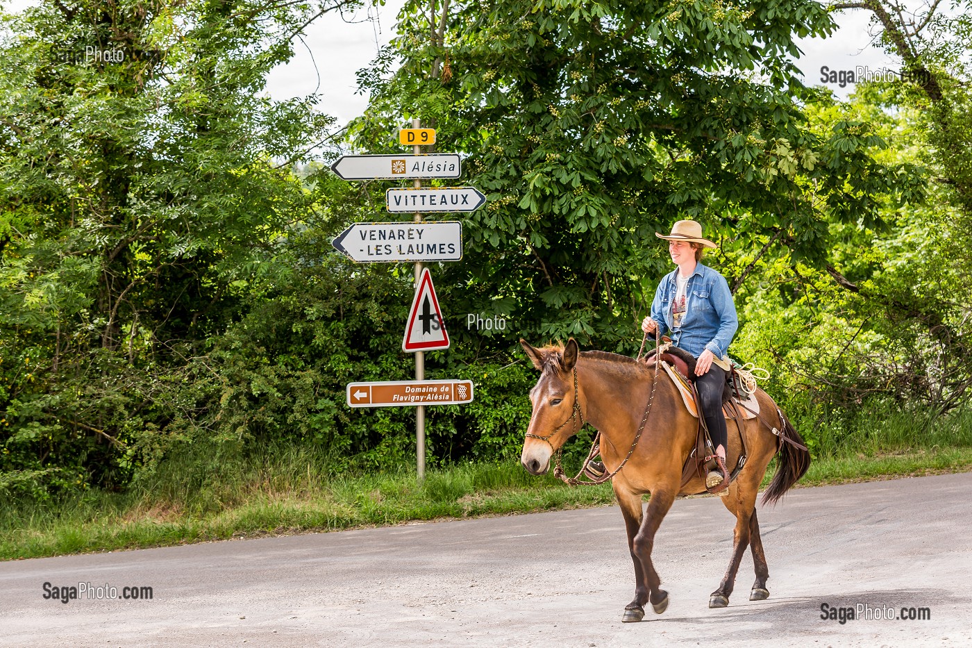 CAVALIERE A CHEVAL, FLAVIGNY SUR OZERAIN, (21) COTE-D'OR, BOURGOGNE, FRANCE 