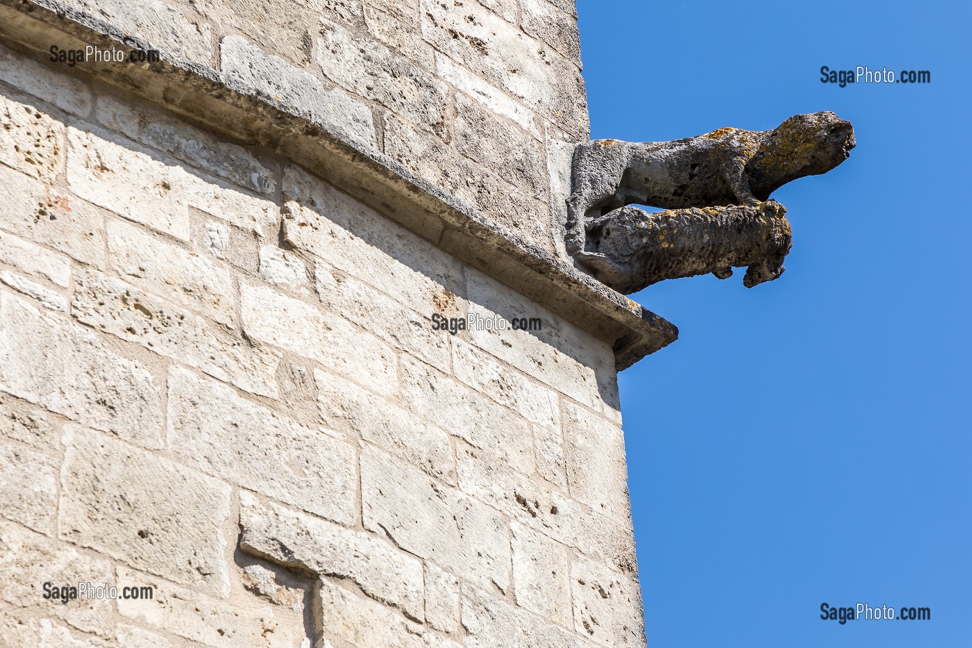 MAISON AU LOUP, FLAVIGNY SUR OZERAIN, (21) COTE-D'OR, BOURGOGNE, FRANCE 