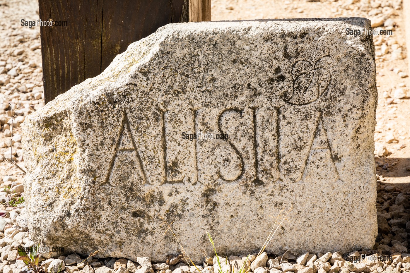 VESTIGE DE LA VILLE GALLO ROMAINE, ALISE SAINTE REINE, ALESIA, (21) COTE-D'OR, BOURGOGNE, FRANCE 