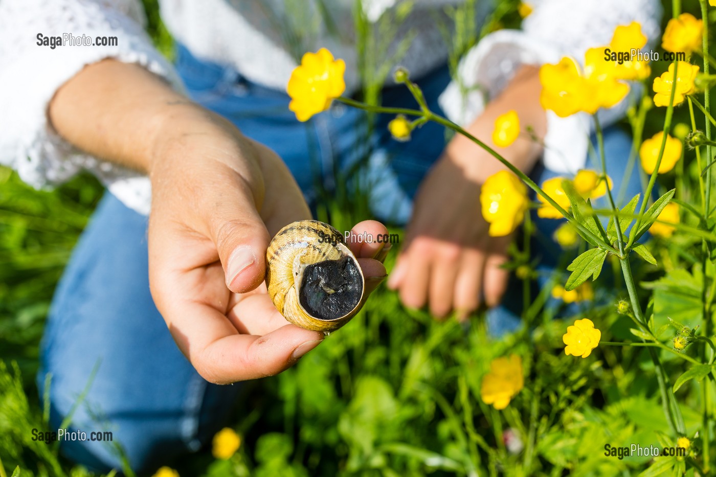 PERRINE DOUDIN, HELIXINE, HELICICULTRICE, PRODUCTRICE D'ESCARGOTS BIO, FLAVIGNY SUR OZERAIN, (21) COTE-D'OR, BOURGOGNE, FRANCE 