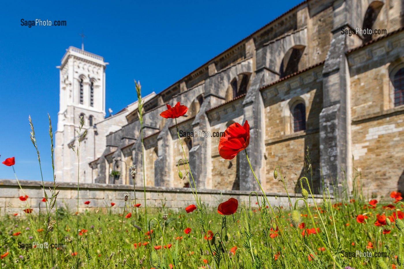 BASILIQUE SAINTE MARIE MADELEINE, VEZELAY, (89) YONNE, BOURGOGNE, FRANCE 