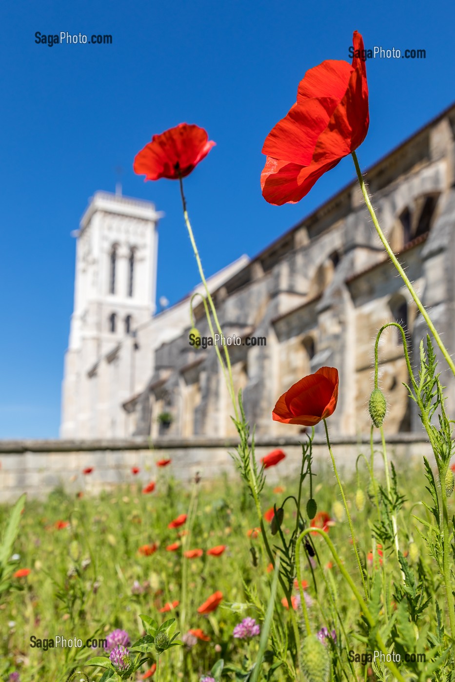 BASILIQUE SAINTE MARIE MADELEINE, VEZELAY, (89) YONNE, BOURGOGNE, FRANCE 