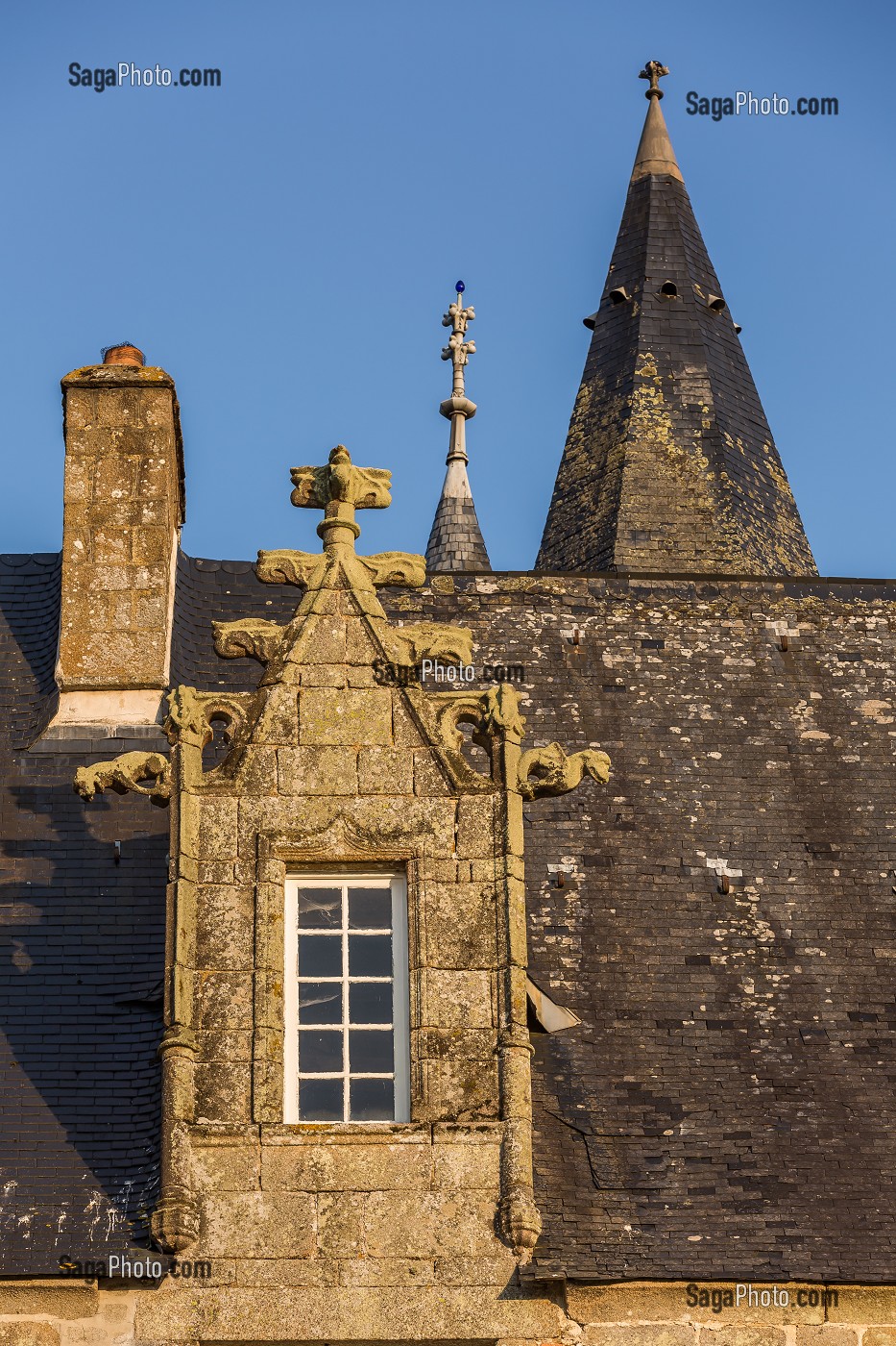 CHATEAU DE BOURGON, MONTOURTIER, (53) MAYENNE, PAYS DE LA LOIRE 