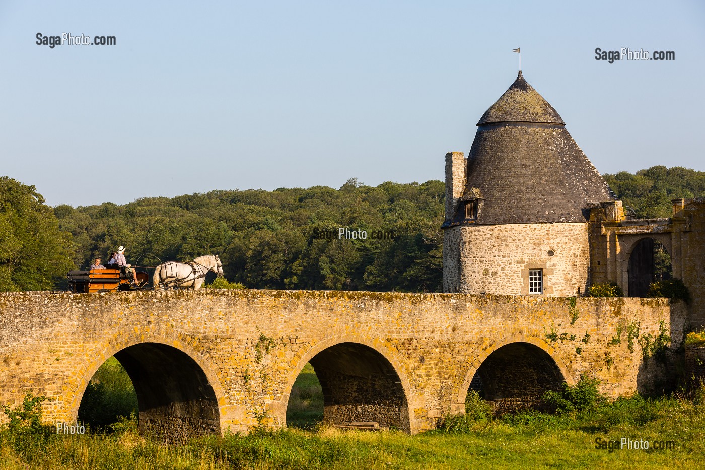 CHATEAU DE BOURGON, MONTOURTIER, (53) MAYENNE, PAYS DE LA LOIRE 