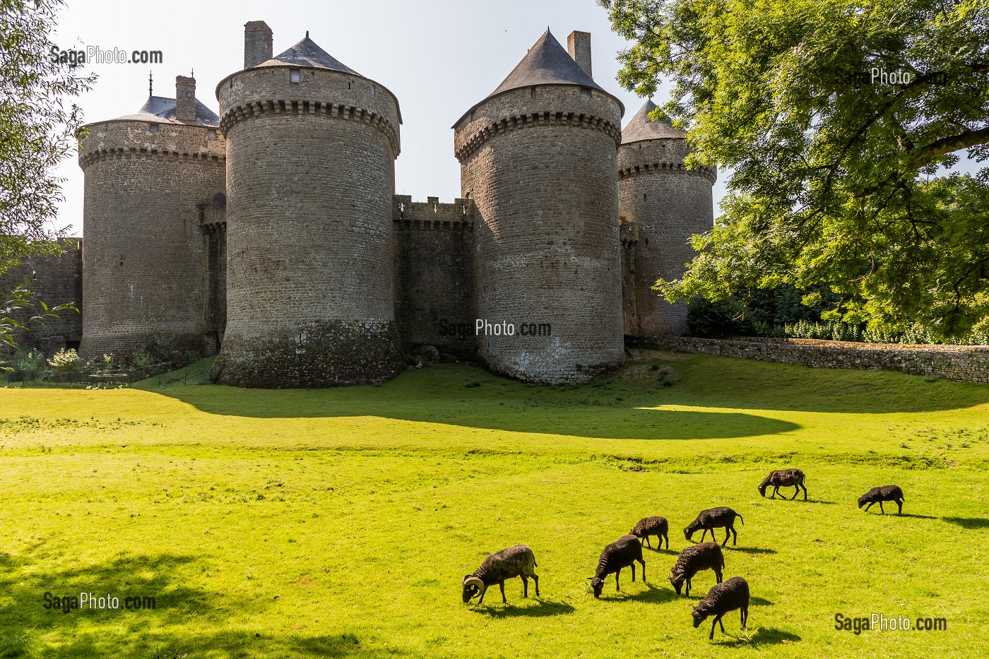 CHATEAU FORT DE LASSAY, LASSAY LES CHATEAUX, (53) MAYENNE, PAYS DE LA LOIRE 