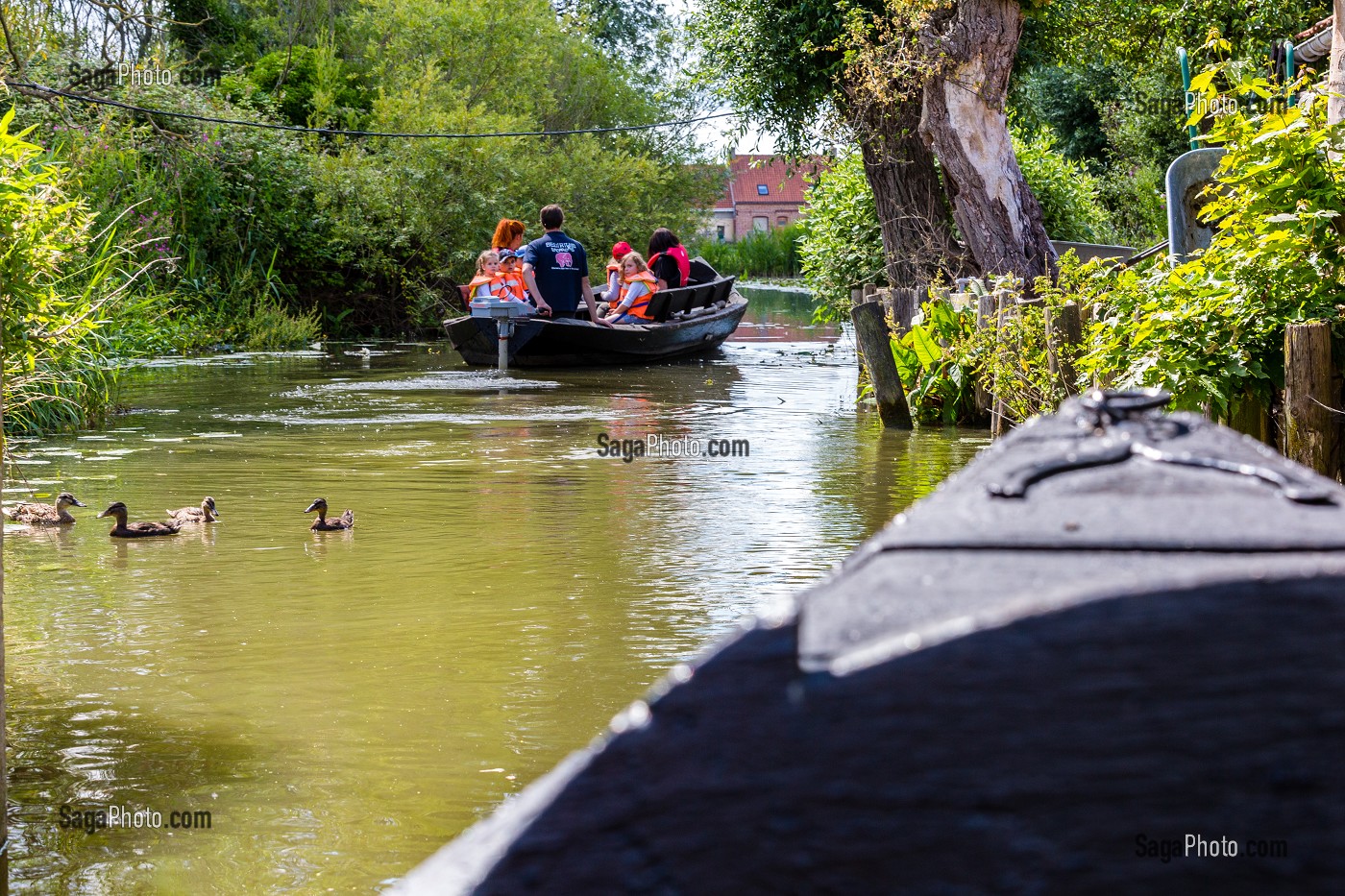 BALADE EN BATEAU, L'ESCUTE SUR LE MARAIS AUDOMAROIS, SAINT OMER, (62) PAS-DE-CALAIS, FRANCE 