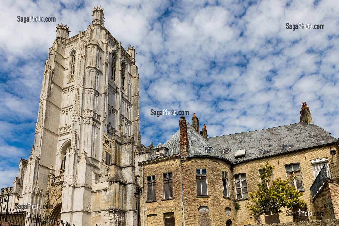 CATHEDRALE NOTRE DAME DE SAINT OMER, SAINT OMER, (62) PAS-DE-CALAIS, FRANCE 