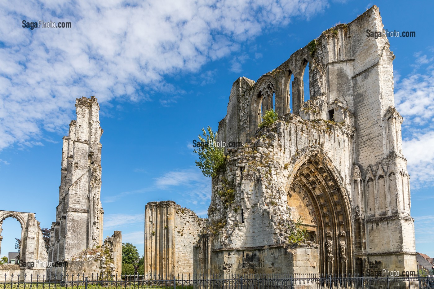 RUINES DE L'ABBAYE SAINT BERTIN, SAINT OMER, (62) PAS-DE-CALAIS, FRANCE 