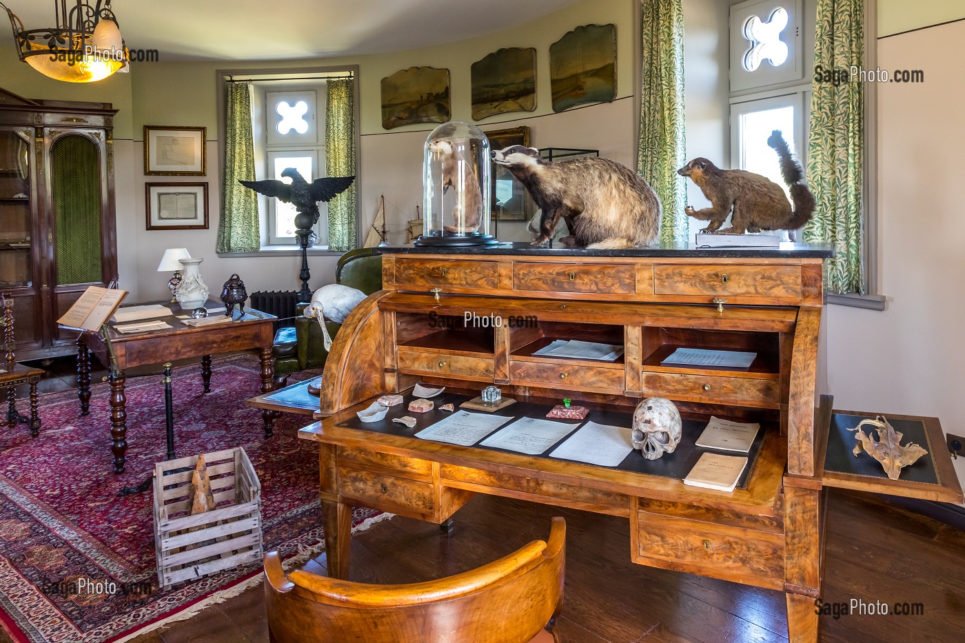 CABINET DE CURIOSITES, CHATEAU D'HARDELOT, CONDETTE, (62) PAS-DE-CALAIS, FRANCE 