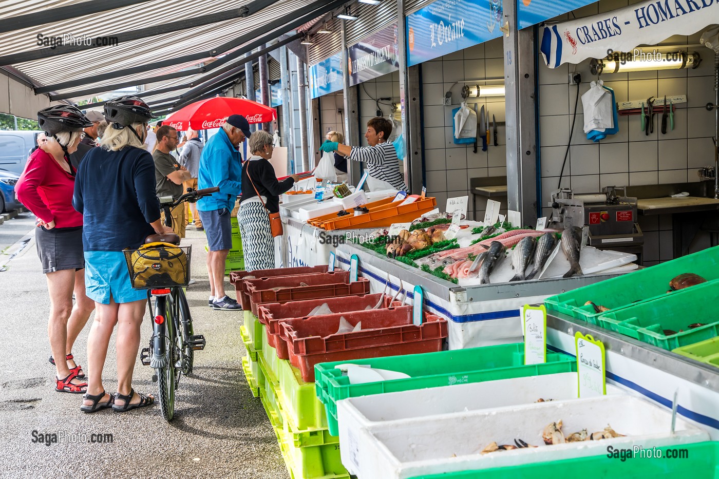 MARCHE AU POISSON, BOULOGNE SUR MER, (62) PAS-DE-CALAIS, FRANCE 