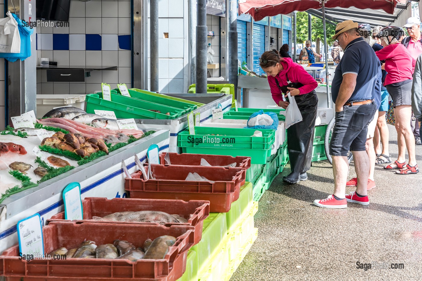 MARCHE AU POISSON, BOULOGNE SUR MER, (62) PAS-DE-CALAIS, FRANCE 