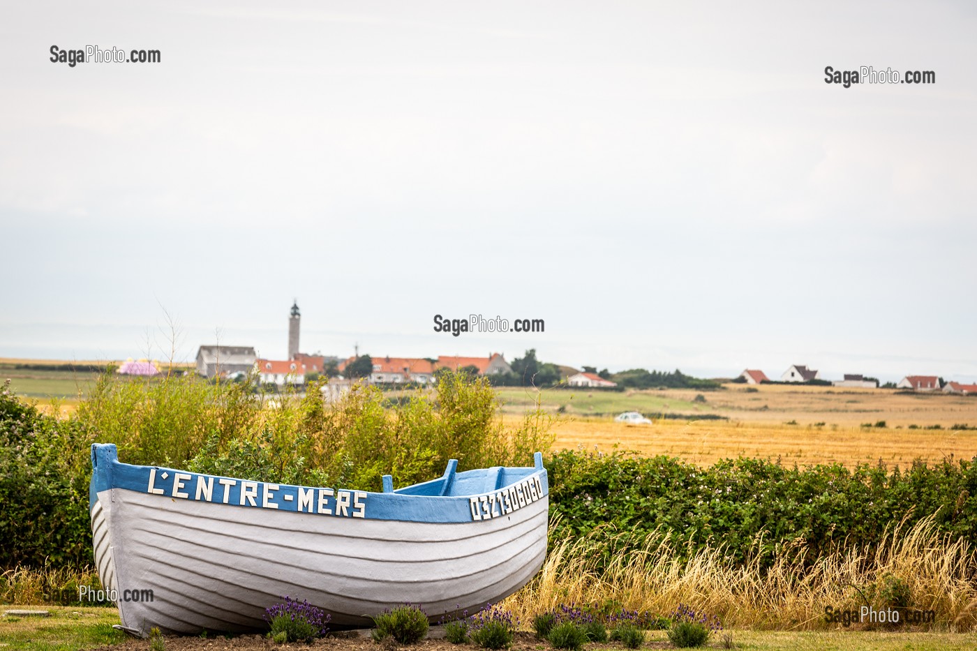 CAP GRIS NEZ, AUDINGHEN, (62) PAS-DE-CALAIS, FRANCE 