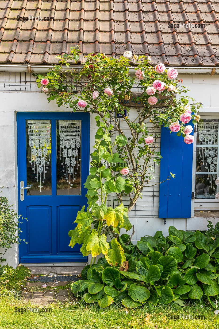 MAISON DE PECHEUR, WISSANT, (62) PAS-DE-CALAIS, FRANCE 