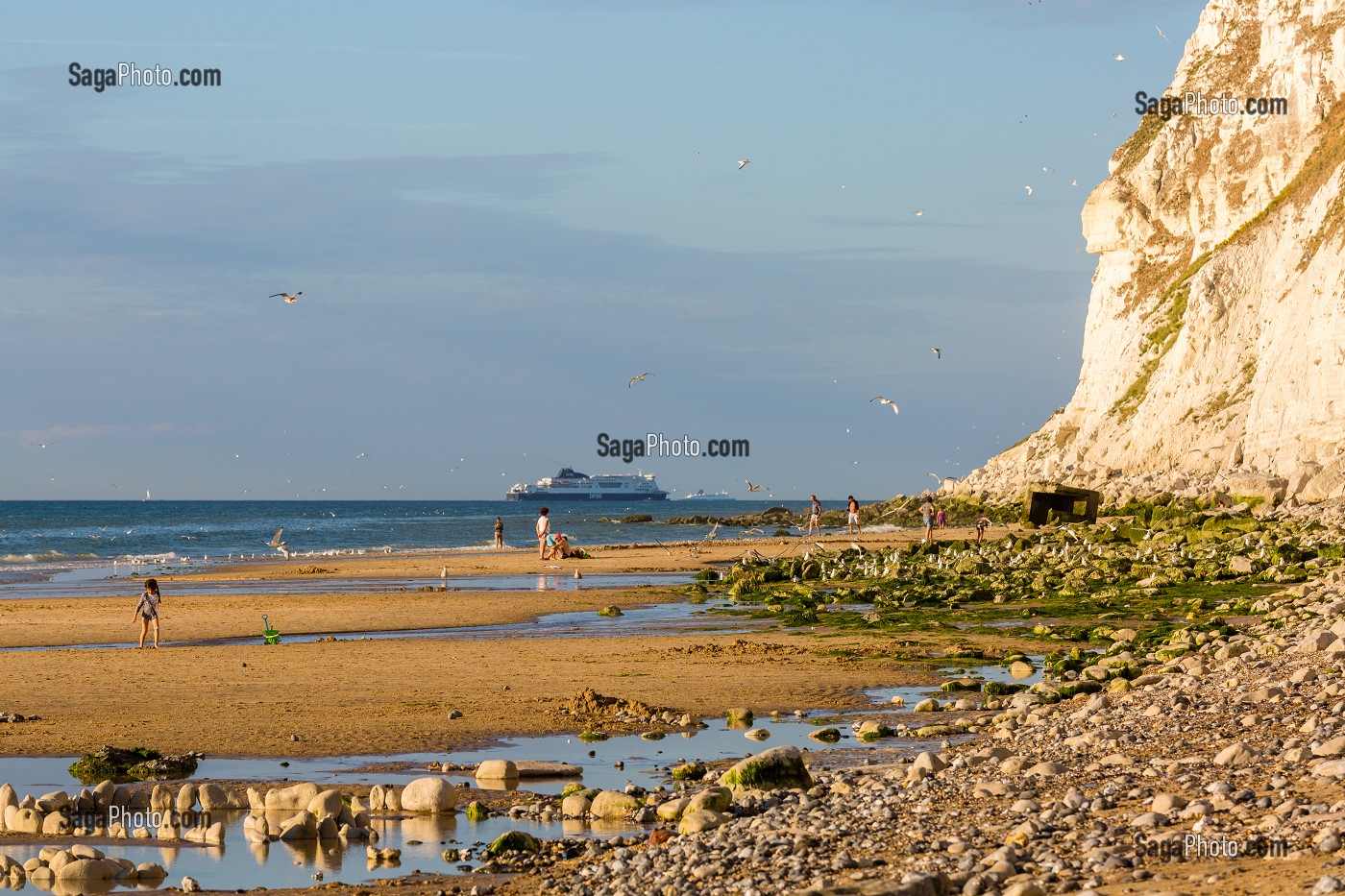 CAP BLANC NEZ, ESCALLES, (62) PAS-DE-CALAIS, FRANCE 