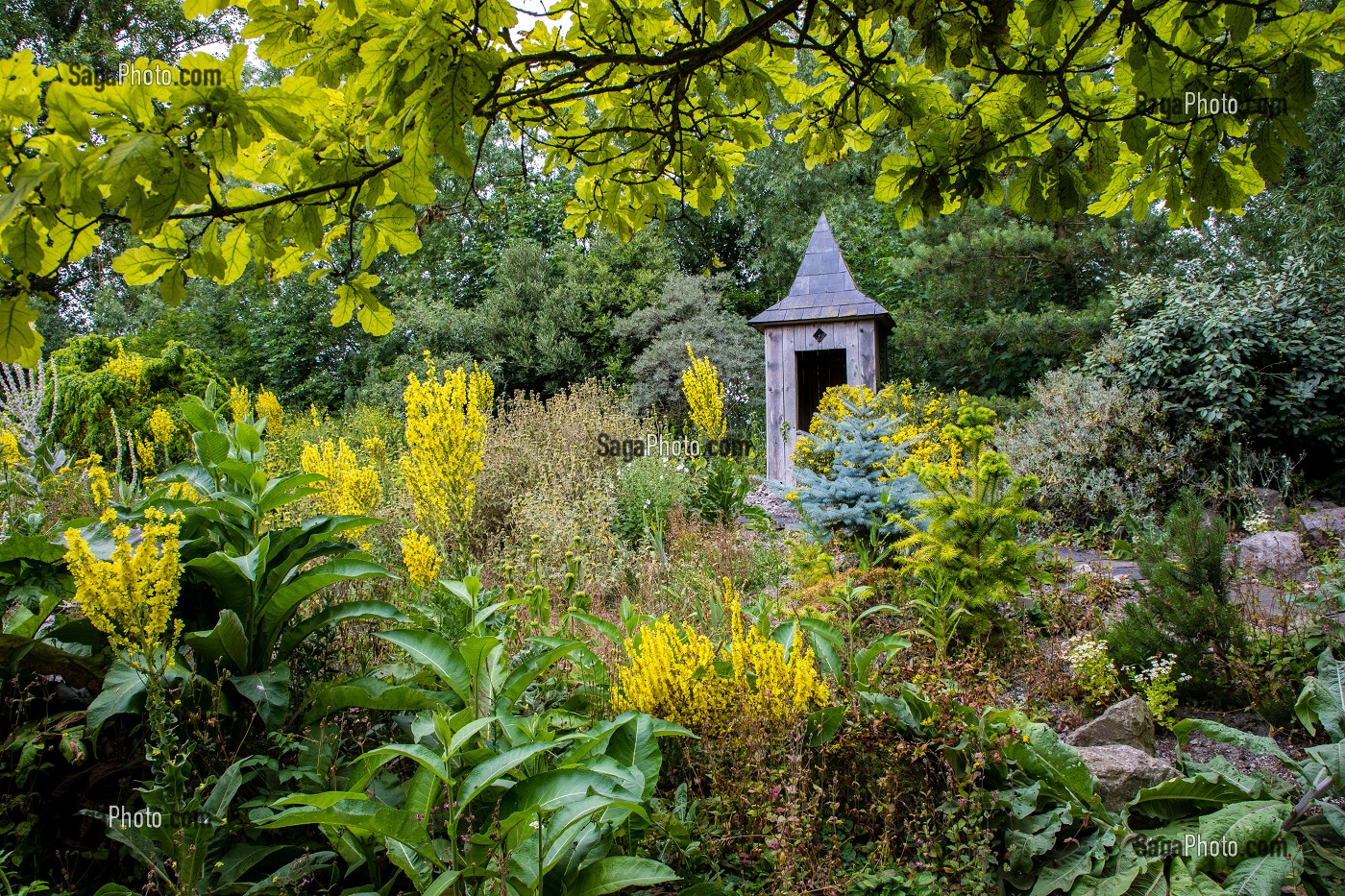 JARDIN BOTANIQUE DU BEAU PAYS, CALAIS, (62) PAS-DE-CALAIS, FRANCE 