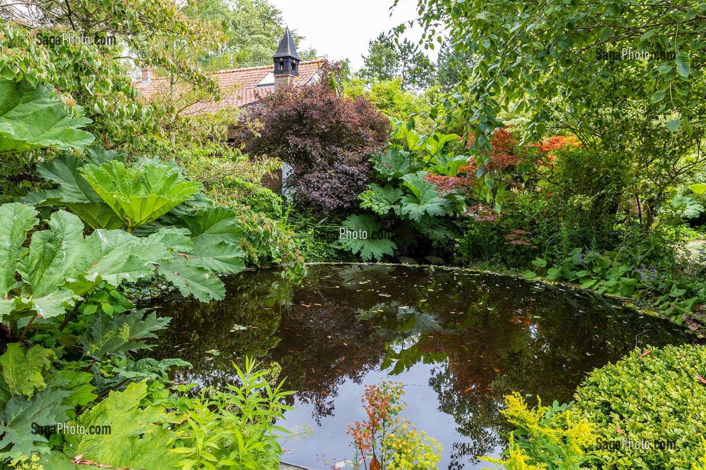 JARDIN BOTANIQUE DU BEAU PAYS, CALAIS, (62) PAS-DE-CALAIS, FRANCE 