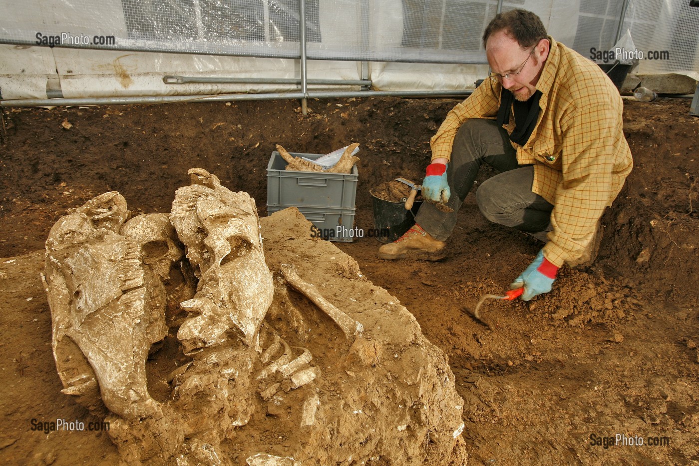 SITE DE FOUILLES  PREVENTIVE, NECROPOLE ROMAINE D'EVREUX, INSTITUT NATIONAL DE RECHERCHES ARCHEOLOGIQUES PREVENTIVES (INRAP). SEPULTURES MELANT OSSEMENTS D'HOMMES ET DE CHEVAUX, FRANCE 