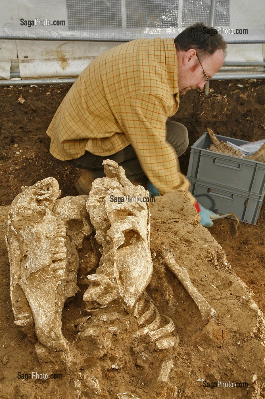 SITE DE FOUILLES  PREVENTIVE, NECROPOLE ROMAINE D'EVREUX, INSTITUT NATIONAL DE RECHERCHES ARCHEOLOGIQUES PREVENTIVES (INRAP). SEPULTURES MELANT OSSEMENTS D'HOMMES ET DE CHEVAUX, FRANCE 