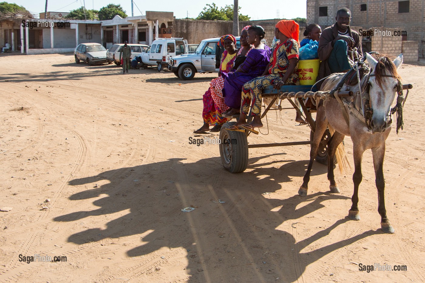 CHARRETTE A CHEVAL AVEC TOUTE LA FAMILLE POUR VENIR AU MARCHE, SENEGAL, AFRIQUE DE L'OUEST 