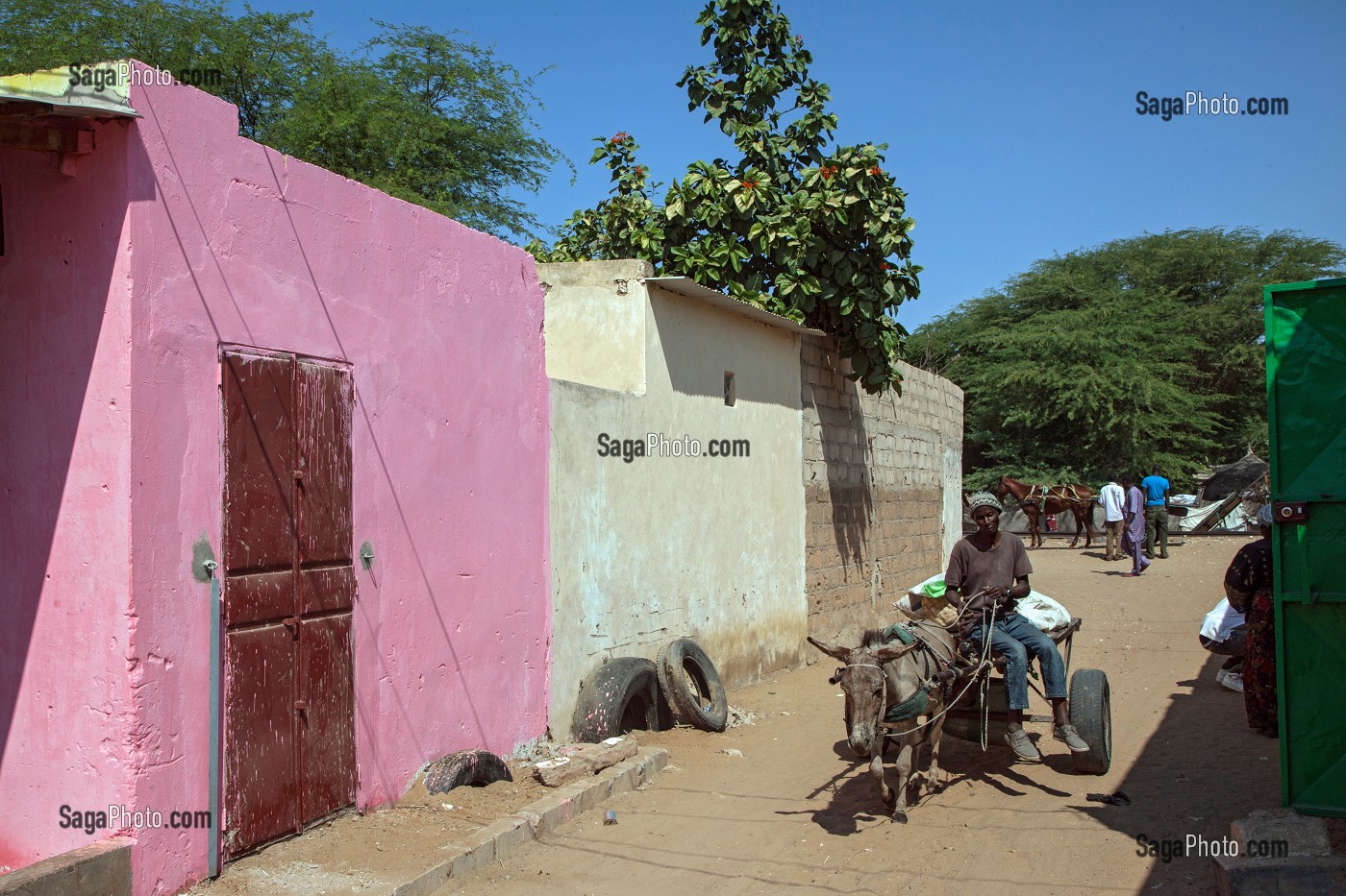 CHARRETTE TIREE PAR UN ANE DANS LES RUELLES DE LA COMMUNE DE MPAL, SENEGAL, AFRIQUE DE L'OUEST 