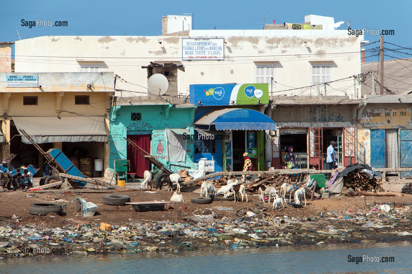 LES CHEVRES AU MILIEU DES DETRITUS AU BORD DU FLEUVE, GUET NDAR, QUARTIER DU VILLAGE DES PECHEURS AVEC LES PIROGUES COLORES, SAINT-LOUIS-DU-SENEGAL, SENEGAL, AFRIQUE DE L'OUEST 