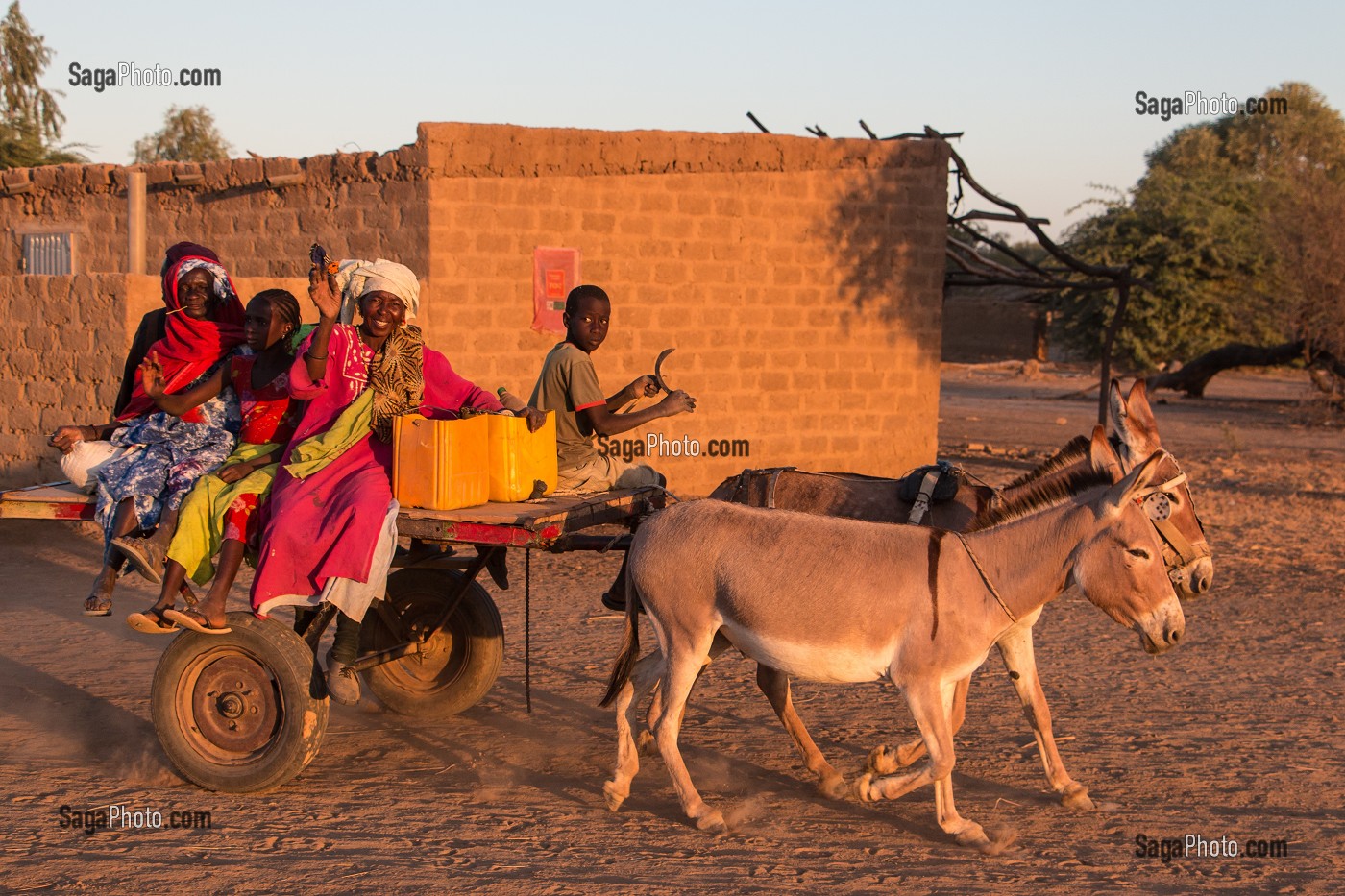 CHARRETTE ET VILLAGEOIS DE RETOUR DU TRAVAIL DES CHAMPS, VILLAGE TOUCOULEUR DE DEGUEMBERE, PROVINCE DE FANAYE DIERI, SENEGAL, AFRIQUE DE L'OUEST 